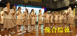 统合综效